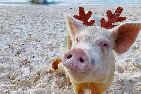 Review img # 96 of the yacht MUCHO GUSTO