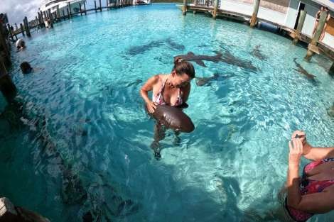 Review img # 91 of the yacht MUCHO GUSTO