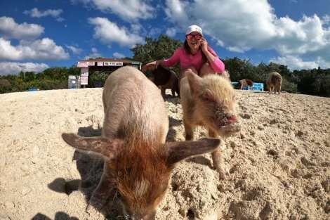 Review img # 90 of the yacht MUCHO GUSTO