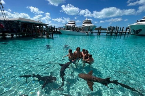 Review img # 75 of the yacht MUCHO GUSTO