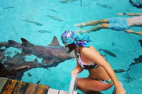 Review img # 53 of the yacht MUCHO GUSTO