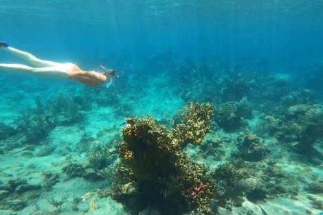 Review img # 25 of the yacht MUCHO GUSTO